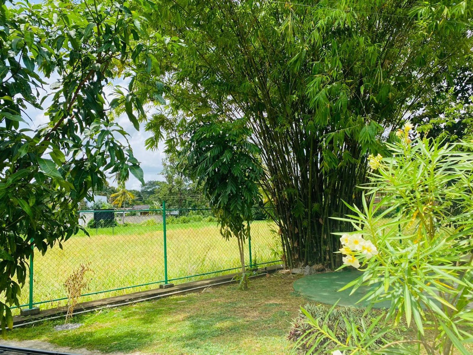 Premium Cottages B&B Kurunegala Kültér fotó