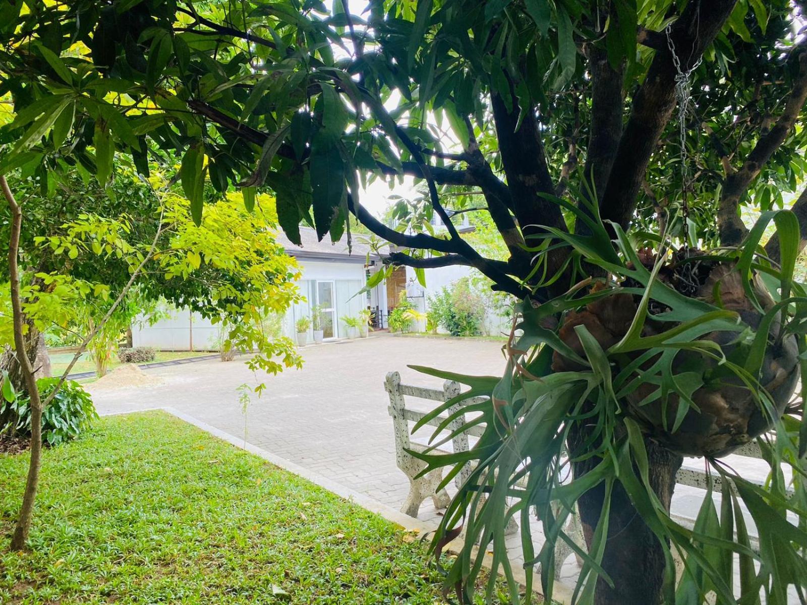 Premium Cottages B&B Kurunegala Kültér fotó