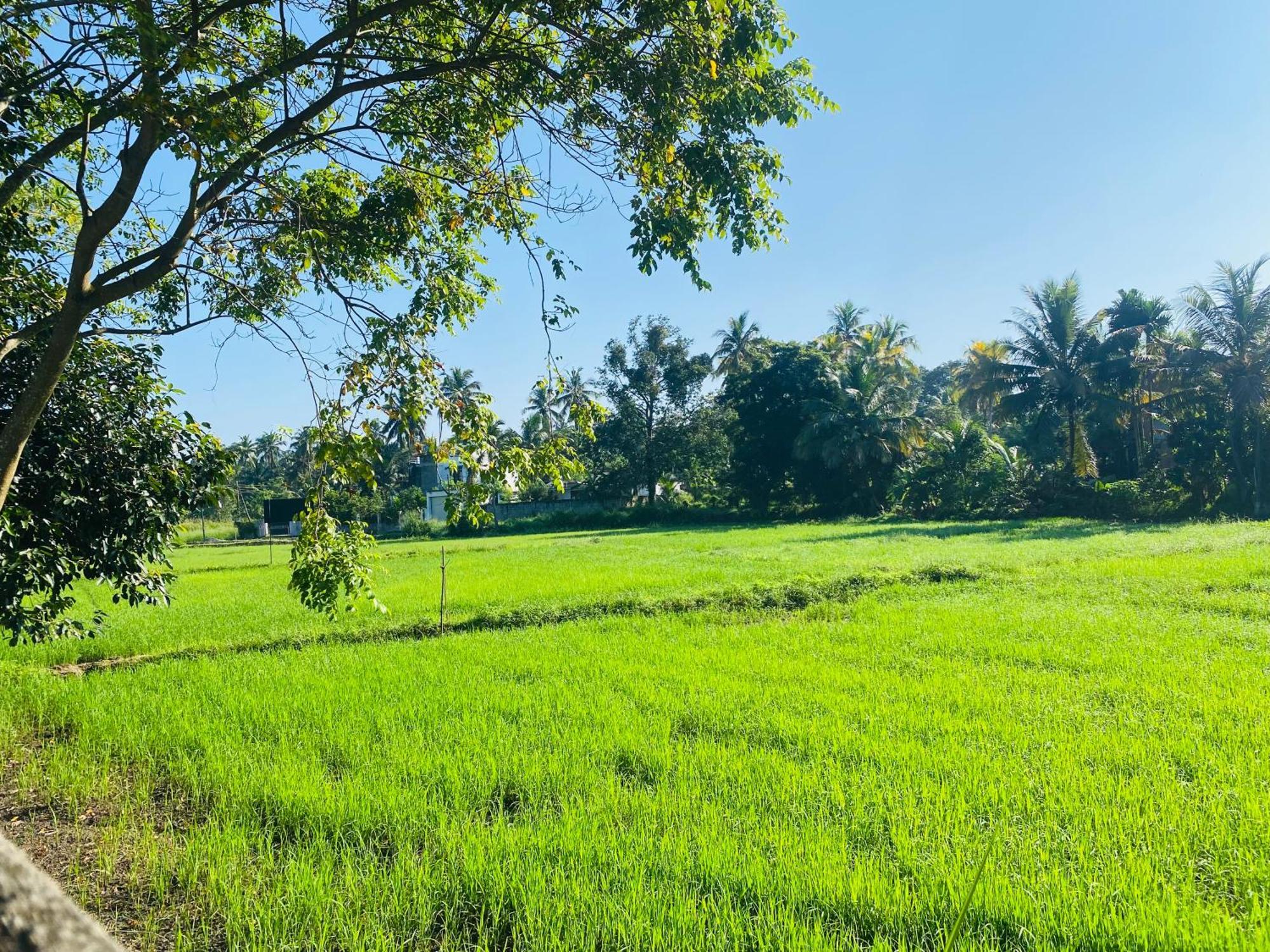 Premium Cottages B&B Kurunegala Kültér fotó